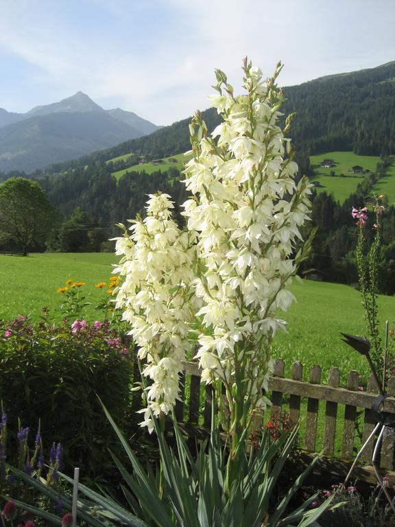 Apartment Acker Alpbach Εξωτερικό φωτογραφία