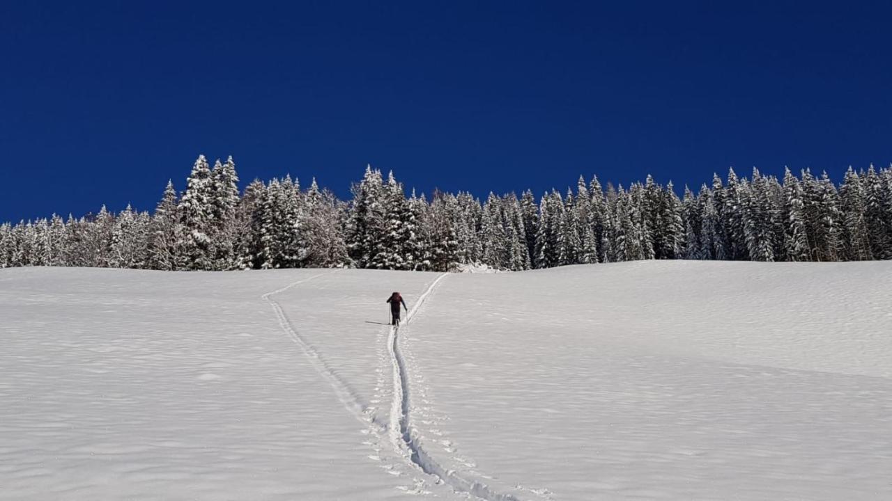 Apartment Acker Alpbach Εξωτερικό φωτογραφία