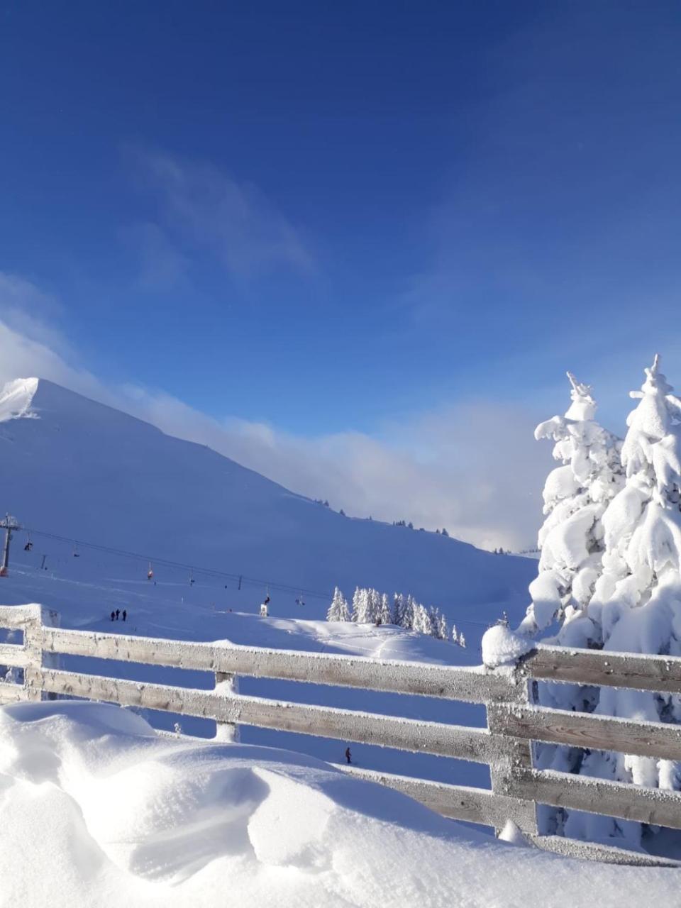 Apartment Acker Alpbach Εξωτερικό φωτογραφία