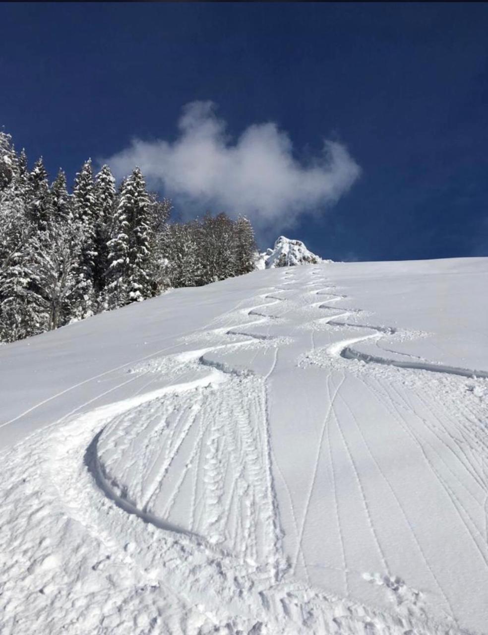 Apartment Acker Alpbach Εξωτερικό φωτογραφία